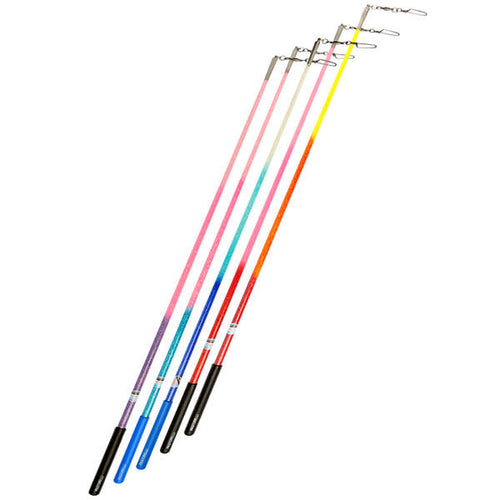 Baquettes de ruban de gymnastique rythmique