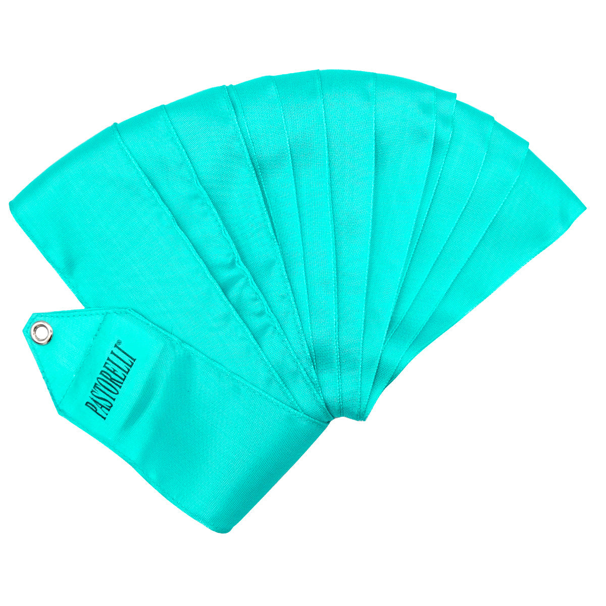 Rubans GRS monochromes PASTORELLI 4 m