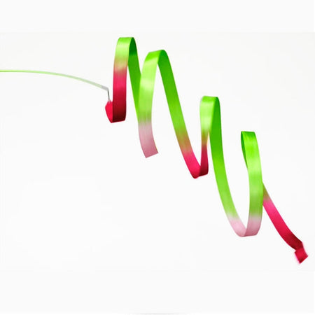 Rubans multicolores PASTORELLI