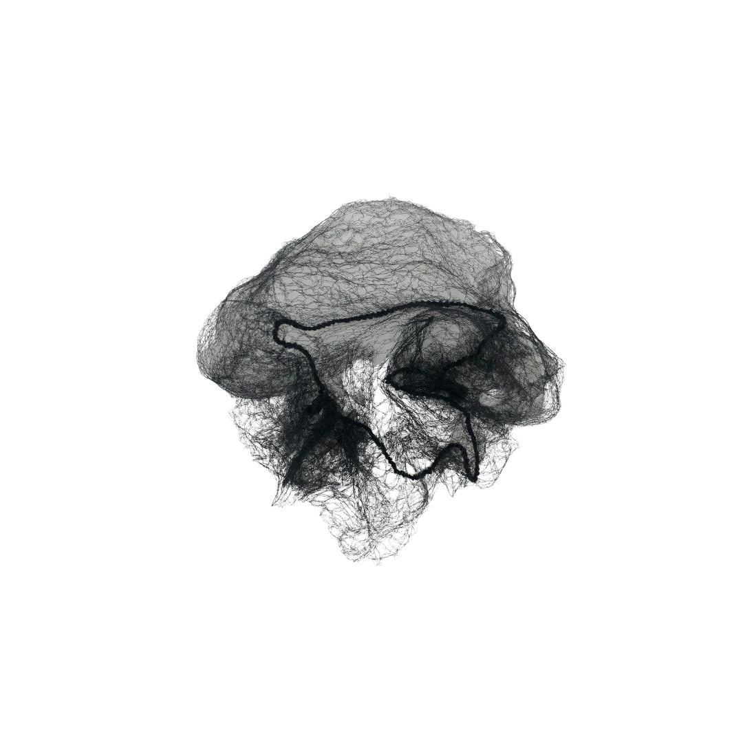 Filet à cheveux