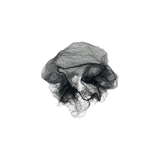 Filet à cheveux